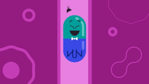 Lolly Studio The Pill animation03